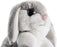 My OLi Easter Bunny Soft Toy 22cm/8.5" Plush Rabbit With Floppy Bunny Ears Stuffed Animal Bunny Teddy Toy Easter Bunny Decorations Gifts For Babies Kids Boys Girls | Grey
