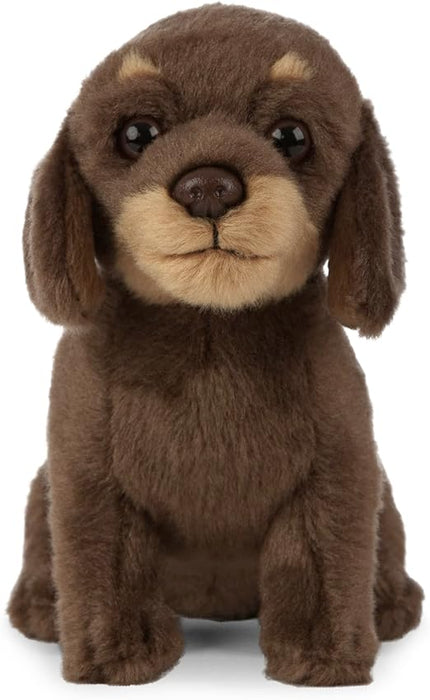 Living Nature Soft Toy - Plush Sausage Dog Dachshund Puppy, Brown, 16cm